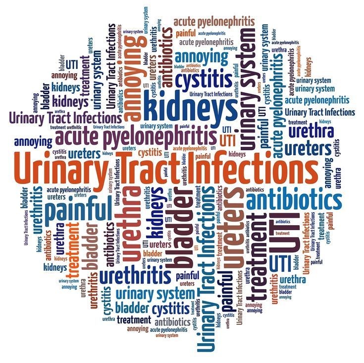 Managing and Preventing Urinary Tract Infections in Older Adults: A Guide for Families